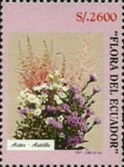 [Flowers, type CJZ]