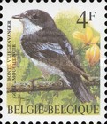 [Birds, type BYM]