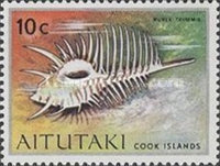 [Sea Shells and Corals, type CM]
