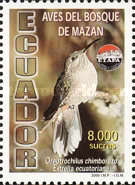 [Birds of Mazan, type CNB]