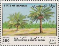 [The Date Palm, type LL]