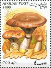 [Mushrooms, type APF]