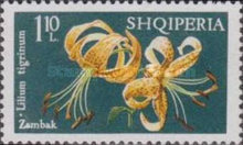 [Flowers - Lilies, type AIL]