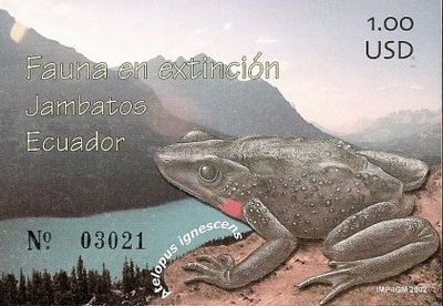 [Frogs, type XCT]
