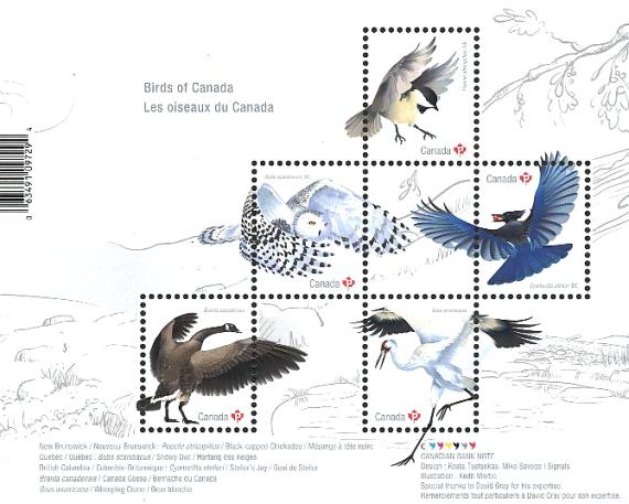 [Birds of Canada, type ]