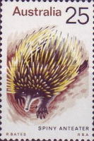 [Mammals, type XOE]
