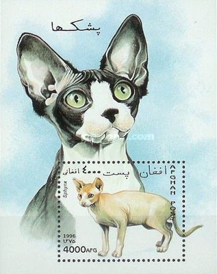 [Cats, type ]