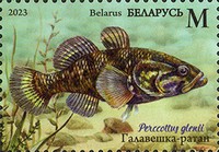 [Invasive Species of Flora and Fauna of Belarus, type BGU]