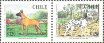 [Dogs, type BHH]