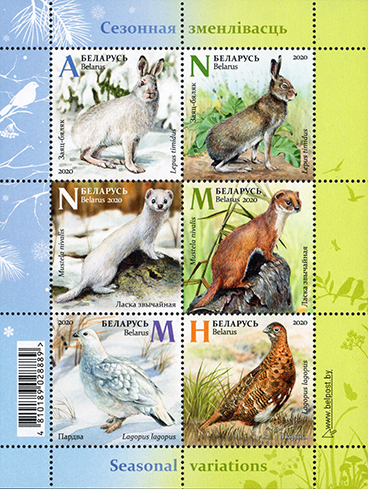[Seasonal Variations - Fauna, type ]