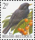 [Birds, type BRK]