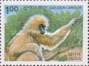 [Indian Wildlife. Monkeys, type ADD]