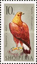 [Birds of Prey, type YU]
