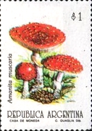 [Fungi, type BUJ]