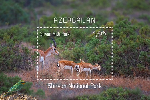 [Sirvan National Park, type ]