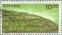 [Reafforestation, type AEB]