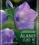[Flowers - Peach-Leaved Bellflower, type OJ]