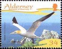 [Seabirds, type JU]