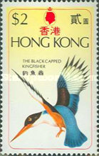 [Birds, type EM]
