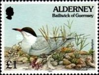 [Flora and Fauna, type CC]