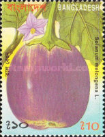 [Vegetables, type QQ]