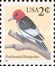 [Birds - Red-headed Woodpecker, type CPK]