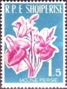 [Flowers, type IQ]