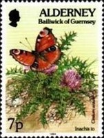 [Flora and Fauna, type BS]
