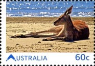 [Living Australian, type DNV]