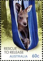 [Wildlife Caring - Rescue to Release, type DLC]