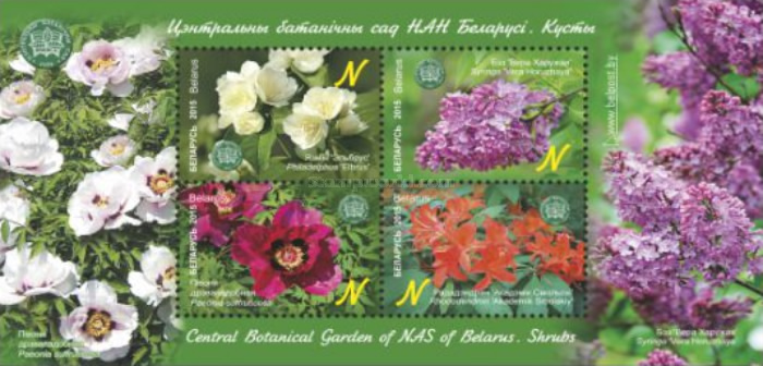 [Central Botanical Garden of the National Academy of Sciences, type ]