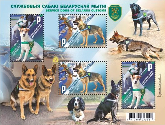 [Service Dogs of Belarus Customs, type ]