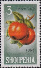 [Fruits, type SB]