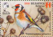 [Bird of the Year - European Goldfinch, type ARQ]