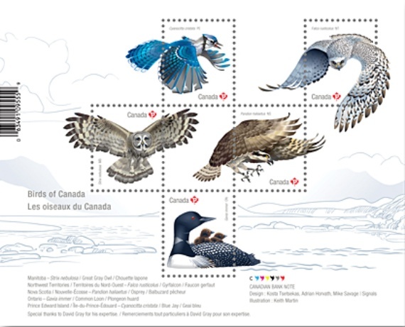 [Birds of Canada, type ]