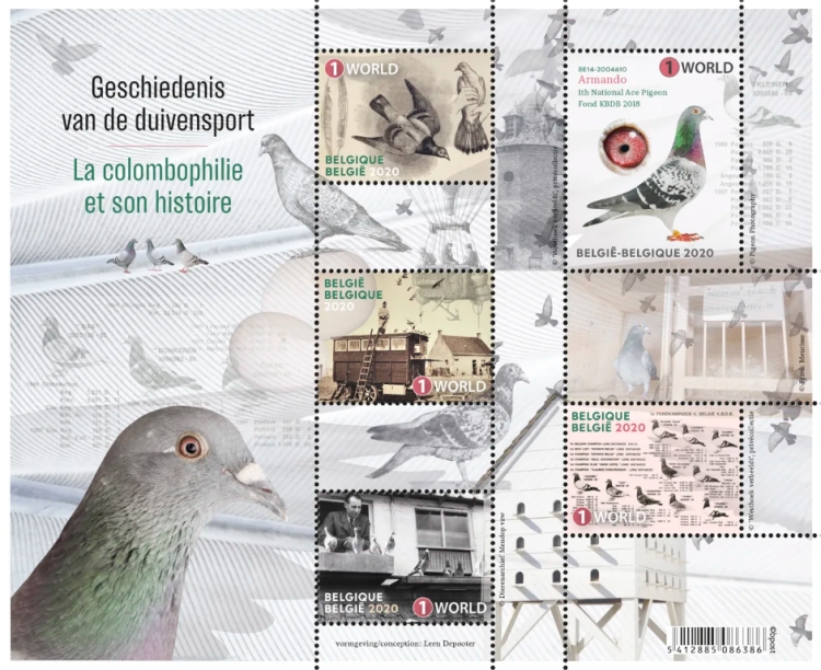 [History of Pigeon Racing, type ]