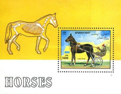 [Horses, type ]