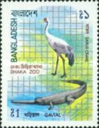 [Dhaka Zoo, type FO]