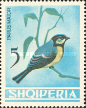 [Birds, type PT]