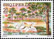 [Nature Scenes, type CHF]