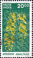 [Wildlife, type BJH]