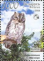 [Owls of Belarus, type ZU]