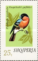 [Songbirds, type XKJ]