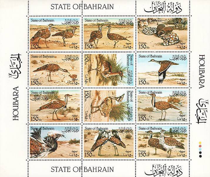 [The Houbara Bustard, type ]