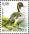 [Birds - Northern Pintail, type DXP]