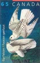 [birds - Gyrfalcon - Self-Adhesive, type XCY]