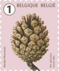 [Definitives - Tree Fruits and Nuts, type FHI]