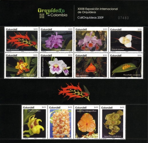 [Flowers - Orchids of Colombia, type ]