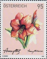 [Flowers - Amaryllis, type ECG]