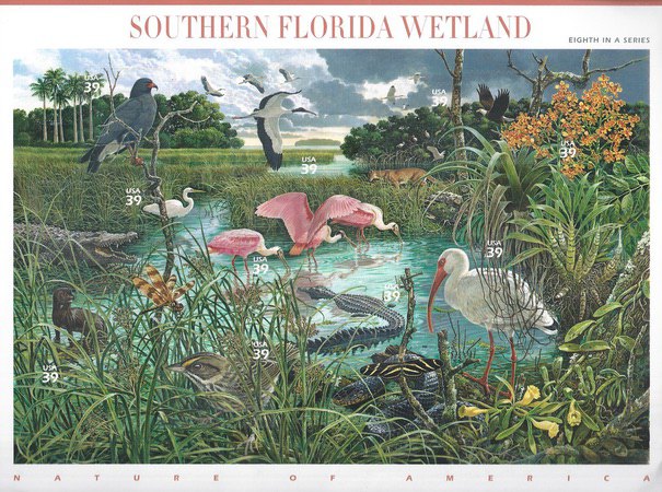 [Nature of America - Southern Florida Wetland - Self-Adhesive, type ]